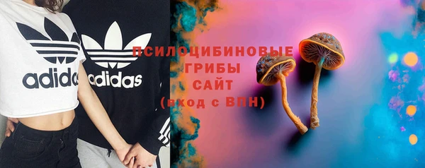 ГАЛЛЮЦИНОГЕННЫЕ ГРИБЫ Надым
