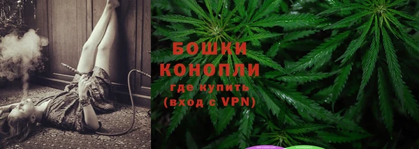 ГАЛЛЮЦИНОГЕННЫЕ ГРИБЫ Надым