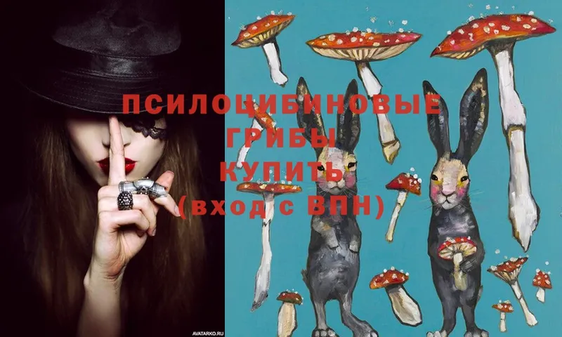 купить закладку  Моздок  Галлюциногенные грибы Magic Shrooms 