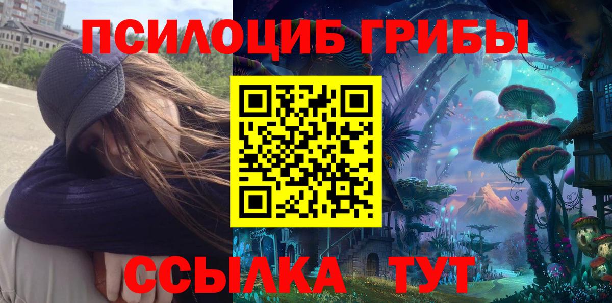 Галлюциногенные грибы Psilocybe Моздок