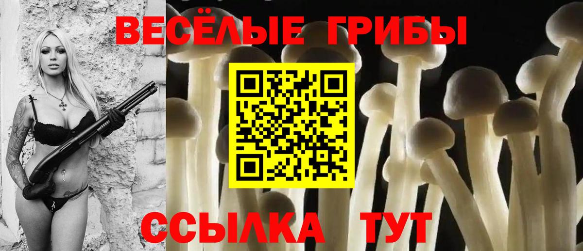 Галлюциногенные грибы GOLDEN TEACHER  Вход с VPN  Моздок  Псилоцибиновые грибы Psilocybine cubensis 